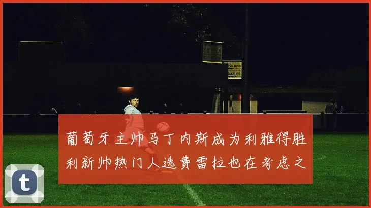 葡萄牙主帅马丁内斯成为利雅得胜利新帅热门人选费雷拉也在考虑之中